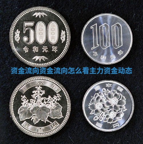 资金流向_资金流向怎么看主力资金动态