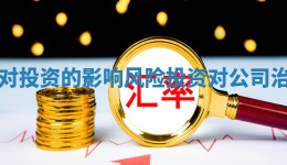 风险管理对投资的影响_风险投资对公司治理的影响